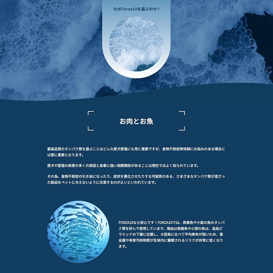 Amazon.co.jp: フォルツァ10(Forza10) ドッグフード デイリー